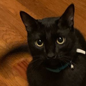 Meet your Posher, Mizuki